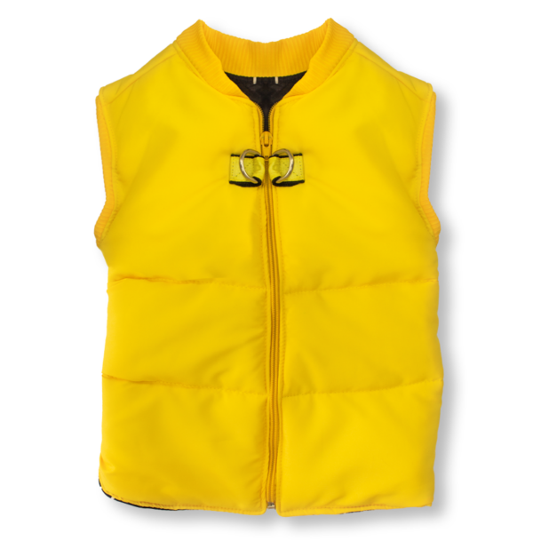 TERRIER AMARILLO