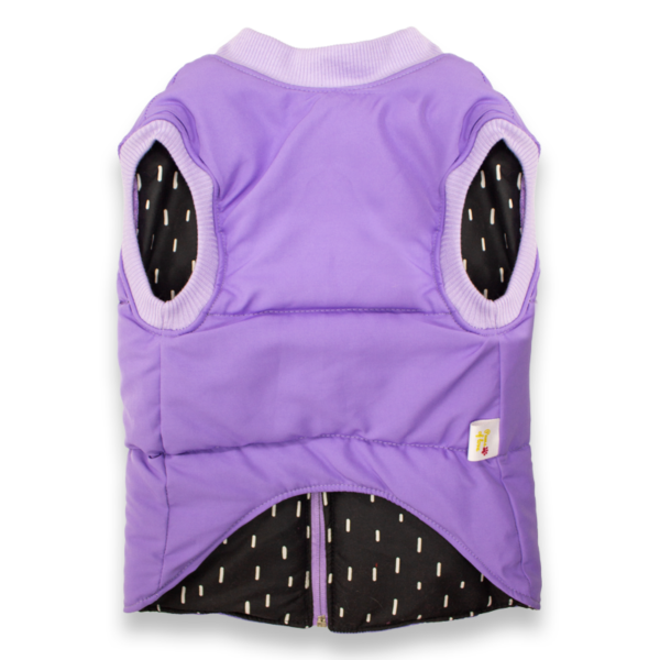 TERRIER MORADO - Imagen 2