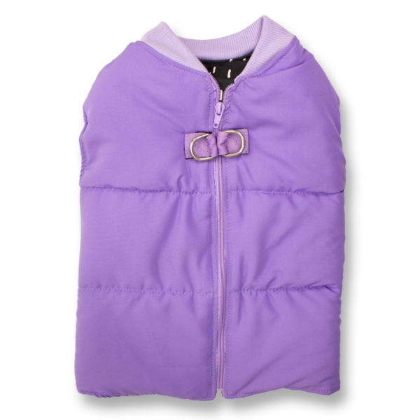 TERRIER MORADO
